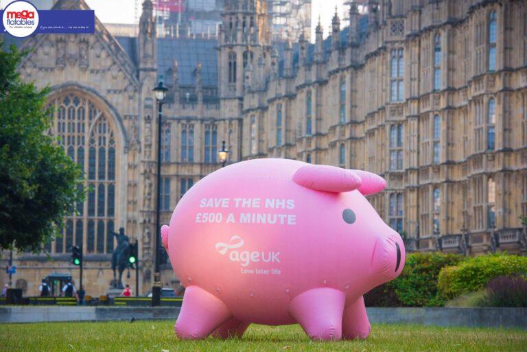 Giant Inflatable animals Pig