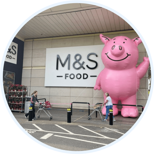 M&S inflatable Percy the pig